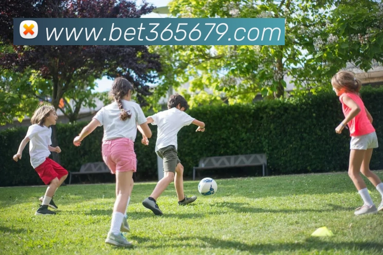 bet365中国官网平台生态图